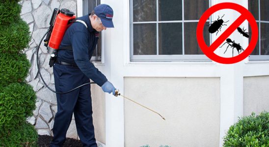 Sarız Dezenfeksiyon böcek ilaçlama ve haşere kontrolü — ilaclama-tr.com